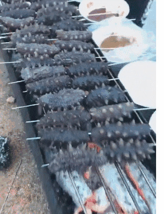 烧烤美味的海鲜海参看着很慎人啊gif图片:烧烤