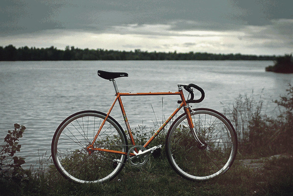安静的湖边停放着一辆自行车gif图片