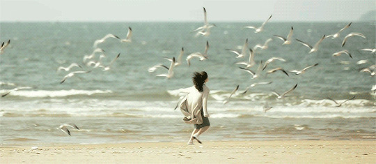女孩在海边奔跑一群海鸥惊吓的飞了起来gif图片