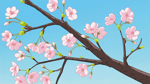 迷人的卡通桃花在春天开放gif图片