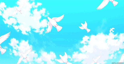 天高任鸟飞动画图片:飞鸟