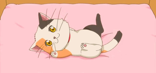 萌萌的小可爱猫咪动画图片:猫猫