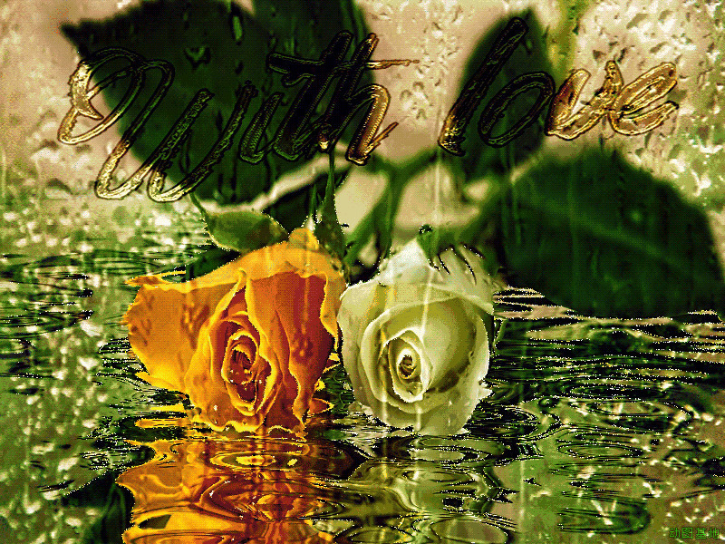 水中玫瑰唯美意境动态素材图片:玫瑰花
