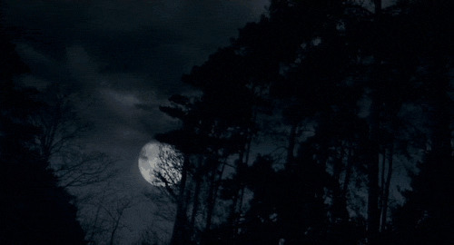 月黑风高的晚上gif图片