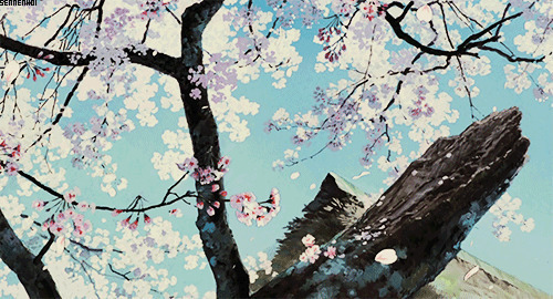 樱花飘落的美景动画图片素材:樱花,落花