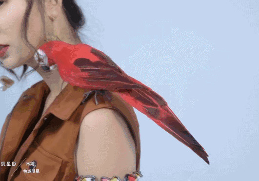养着一只红色鹦鹉的妹子gif图片:鹦鹉