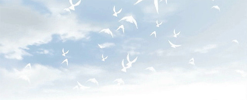 鸟儿天空自由翱翔动态图片
