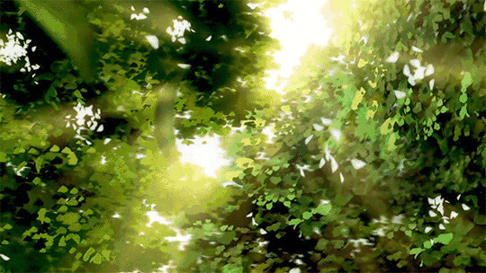 早晨的阳光透过茂密的树叶GIF动态图
