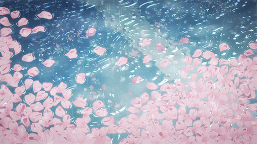 池塘里花瓣唯美景色动画图片