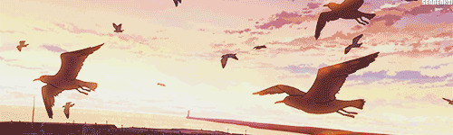 美丽天空一群鸟儿飞过动画图片