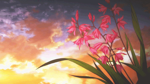 风吹着娇艳的花朵动画图片:花朵