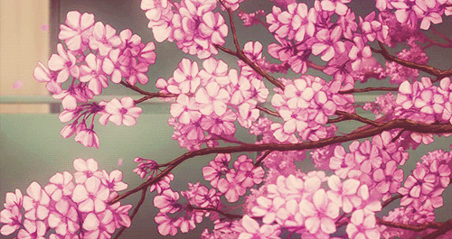 粉红色花瓣纷纷飘落动画图片:花瓣,落花