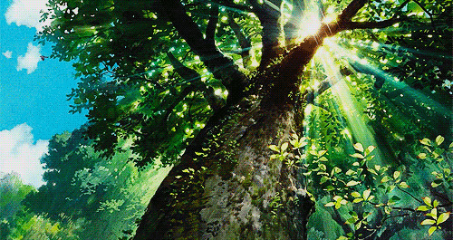阳光透过参天大树动画图片:阳光