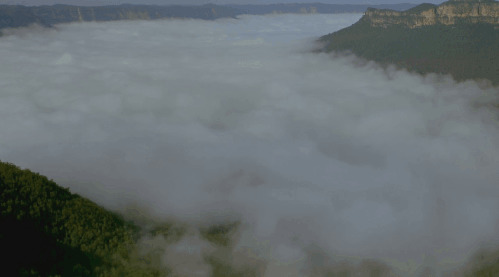 山顶上滚动的雾气GIF图片