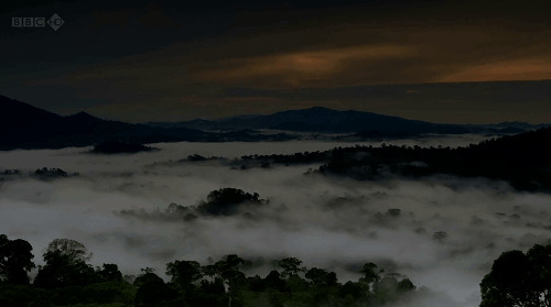 山顶的云彩烟雾缭绕gif图片