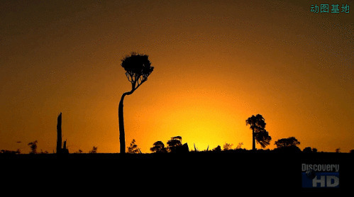 夕阳落山美景gif图片:夕阳