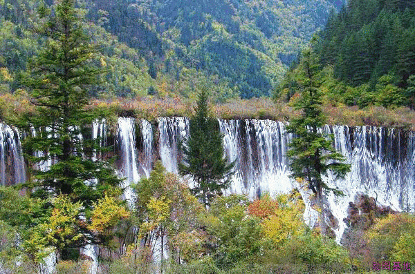 大山里的流水瀑布gif图片:瀑布
