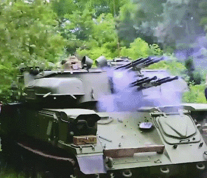 装甲车躲在丛林里gif图片:装甲车