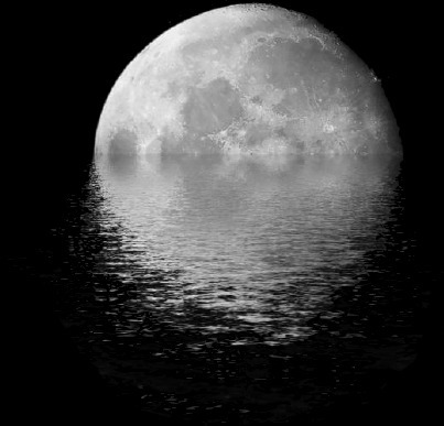 月亮掉进了水里gif图片