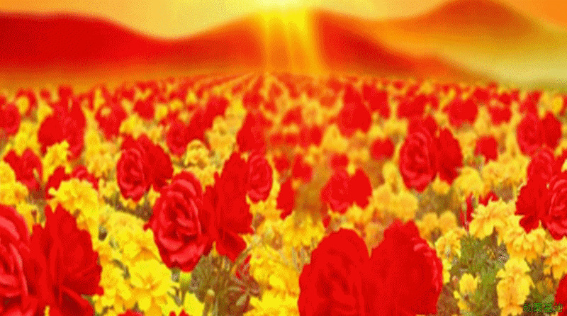 美丽的大红花GIF图片