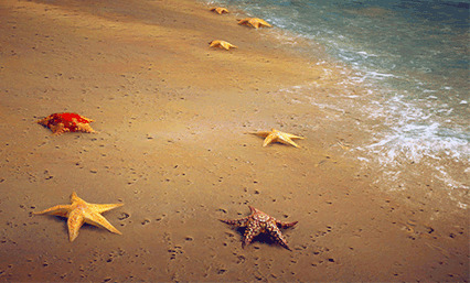 沙滩上的五角星GIF图片