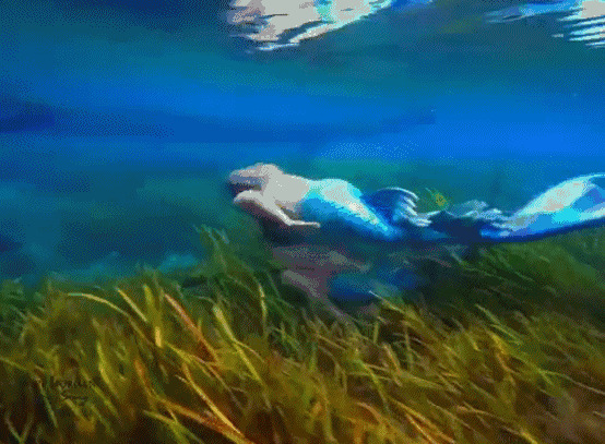 在海底游泳的美人鱼GIF图片:美人鱼