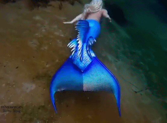 蓝色尾巴的美人鱼GIF图片
