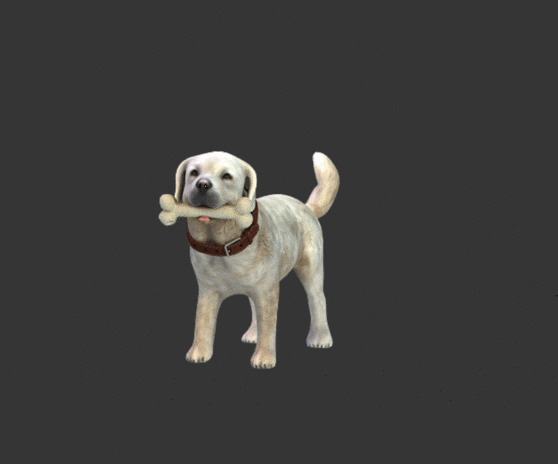 可爱的小狗狗啃骨头GIF图片