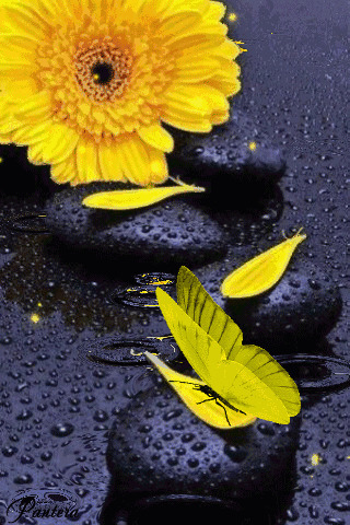 黄色的蝴蝶与鲜花gif图片