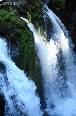 流水的瀑布美景GIF图片:瀑布