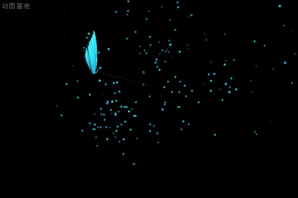 一只在黑夜中飞舞的蝴蝶GIF图片:蝴蝶