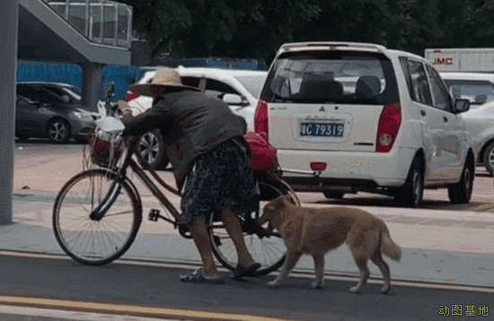 在马路上推自行车的老人gif图片