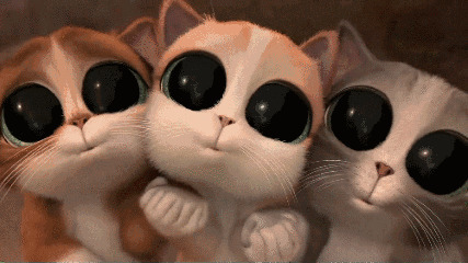 三只可爱的卡通小猫咪GIF图片:小猫咪