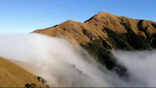 朋友早安 高山上的云彩gif图片