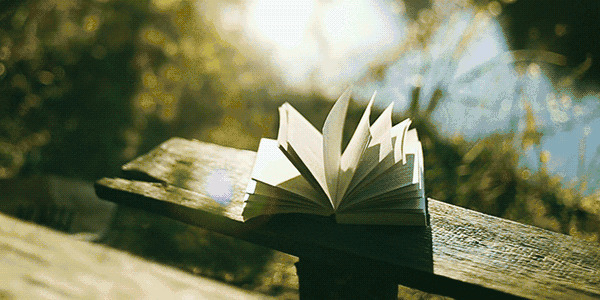 微风吹动阳光下的书本gif图片:书本