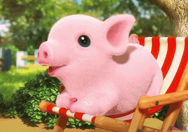 可爱的卡通小猪坐在凳子上gif图片