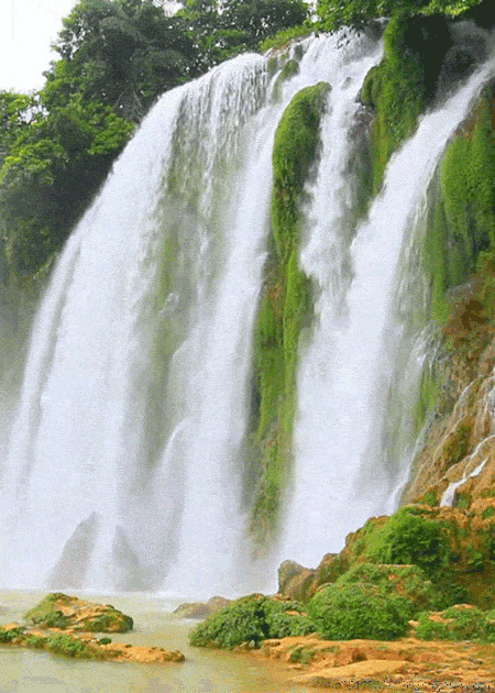 流动的瀑布GIF图片:瀑布