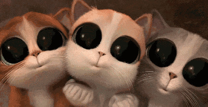 大眼睛萌猫猫动画图片
