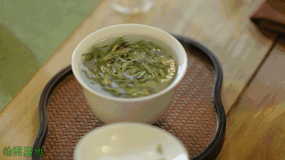 冲泡清新绿茶GIF图片:泡茶
