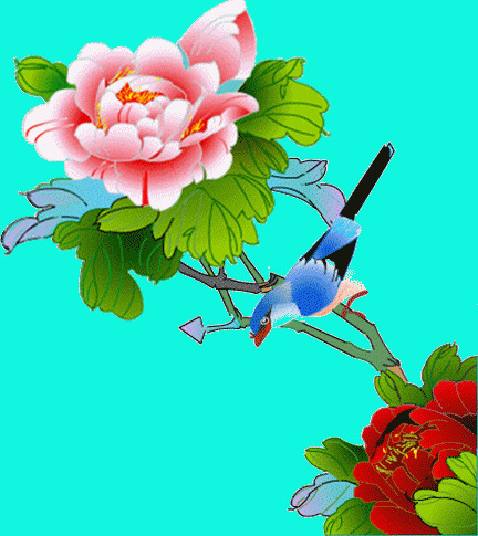 牡丹花下翠鸟鸣动画图片