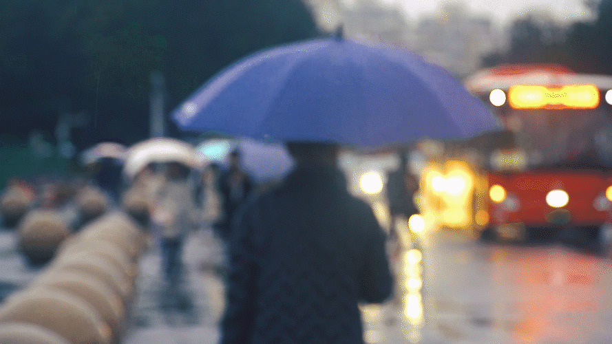 雨中打伞行走GIF图片:城市,下雨