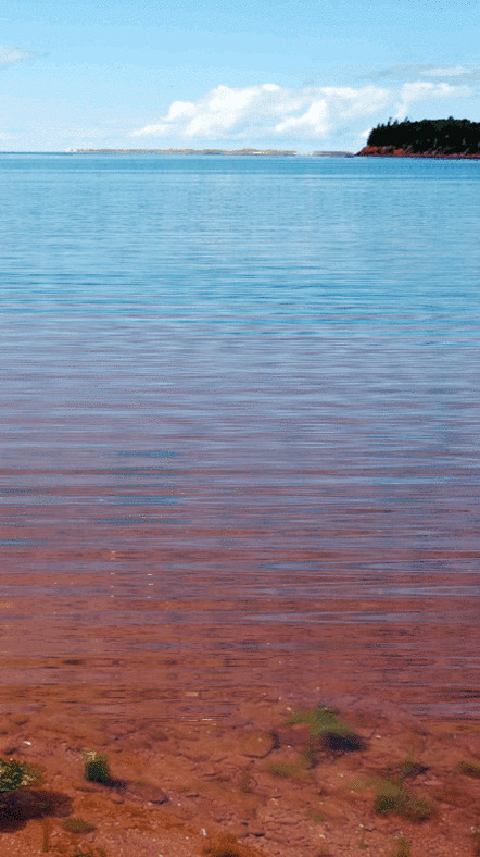 平静的大海GIF图片:大海