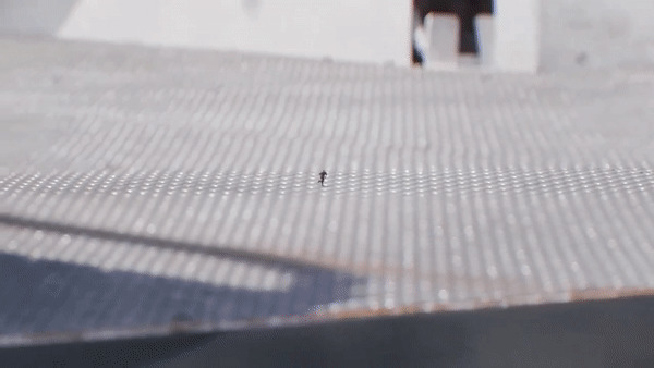 蚁人奔跑gif图片