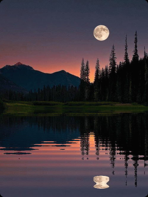 月亮的倒影GIF图片:夜色