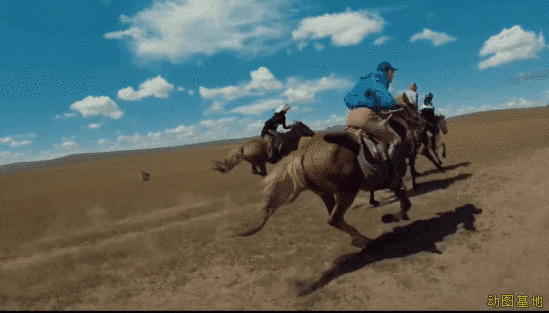 草原策马奔腾GIF图片:骑马