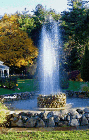 园林优美喷泉GIF图片