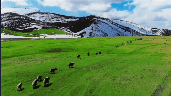 雪山辽阔的草原GIF图片:草原