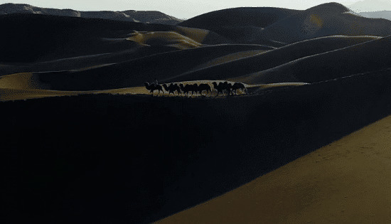 骆驼商队过沙漠GIF图片:骆驼