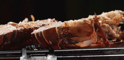 碳烤皮皮虾GIF图片:皮皮虾