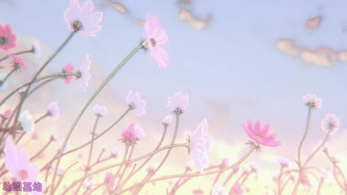 摇晃的小花GIF图片:花朵